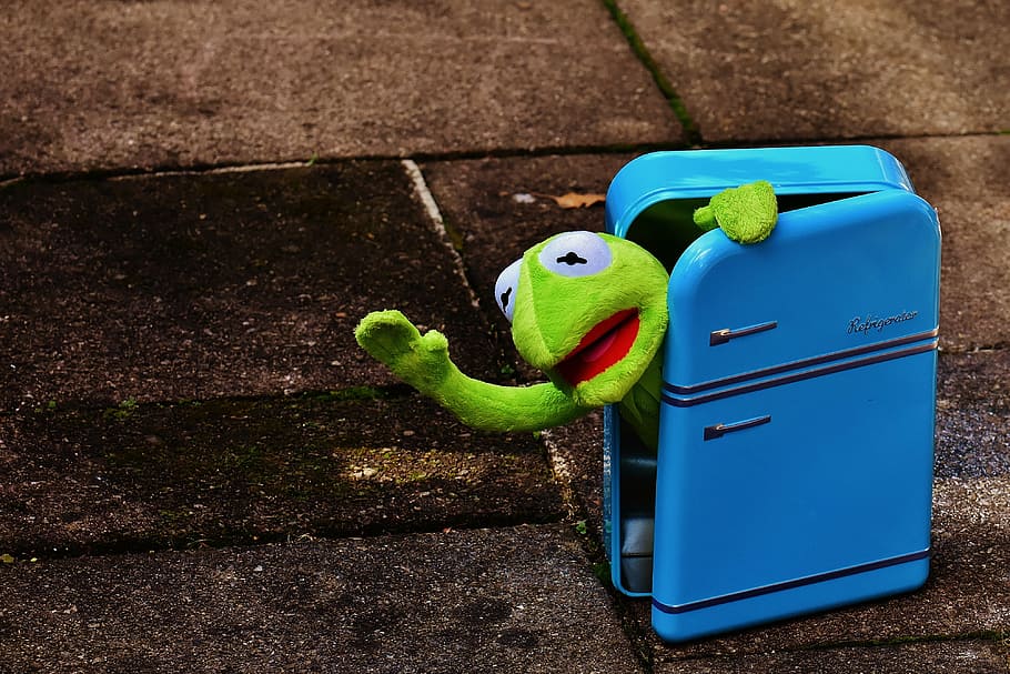 kermit, frog, refrigerator, funny, retro, green, toys, soft toy, HD wallpaper