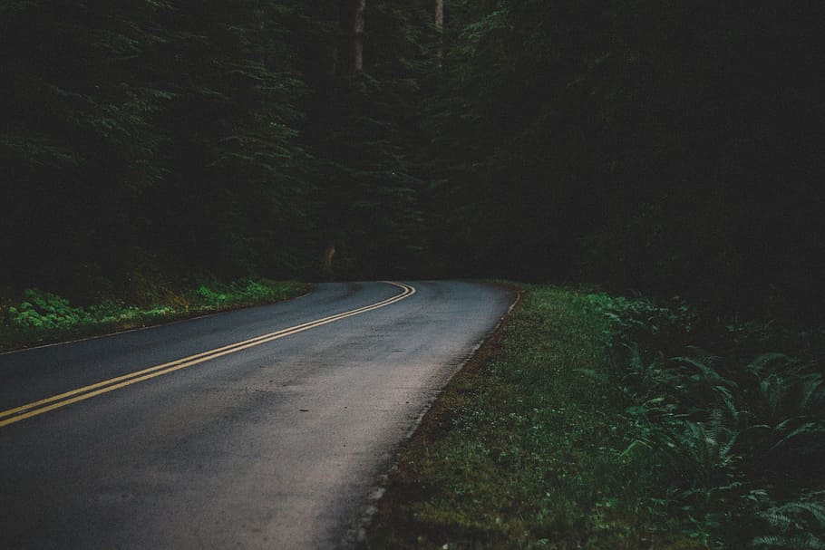 empty concrete road between trees and grasses, black concrete road between green trees at daytime HD wallpaper
