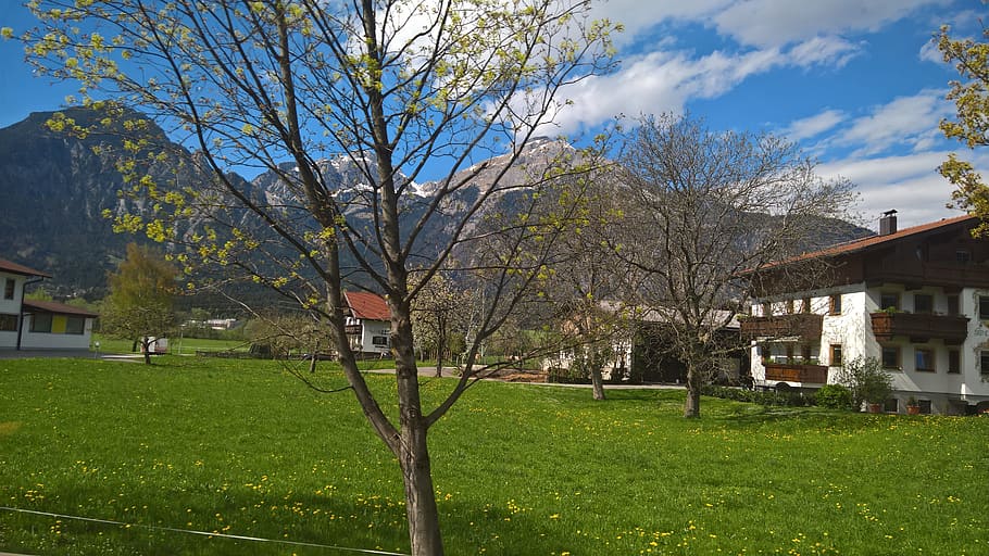 recovery, mountains, nature, building exterior, architecture HD wallpaper