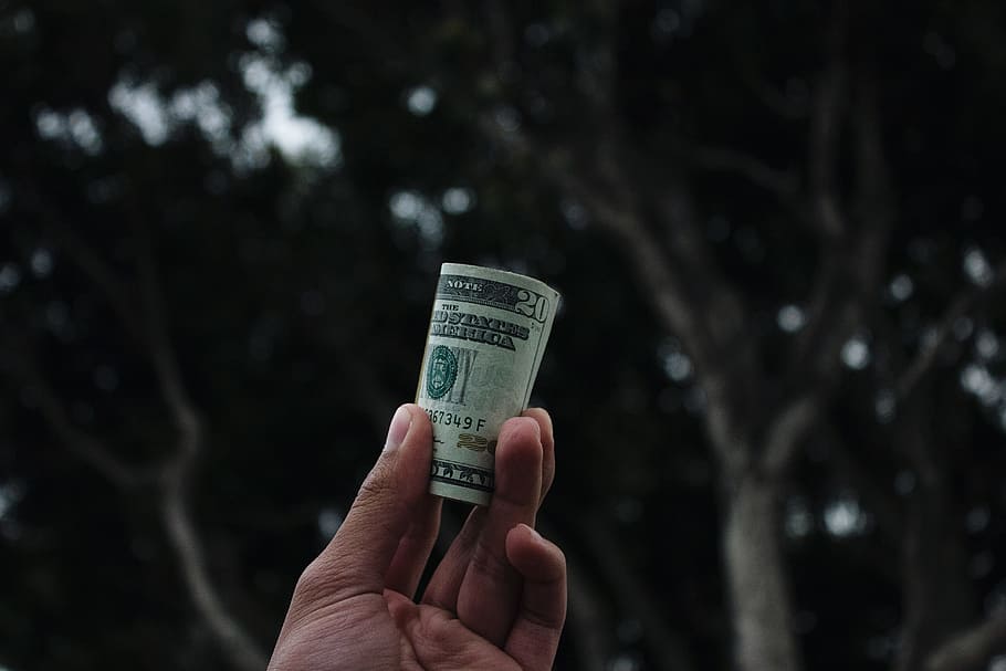 dark, tree, hand, bill, money, human hand, human body part HD wallpaper
