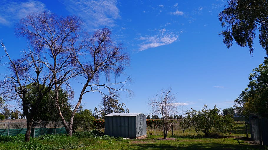 rural, sky, natural, tree, plant, nature, blue, architecture HD wallpaper