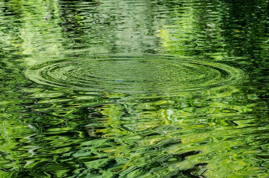 water droplet photo, background, pattern, green, close-up, element HD wallpaper