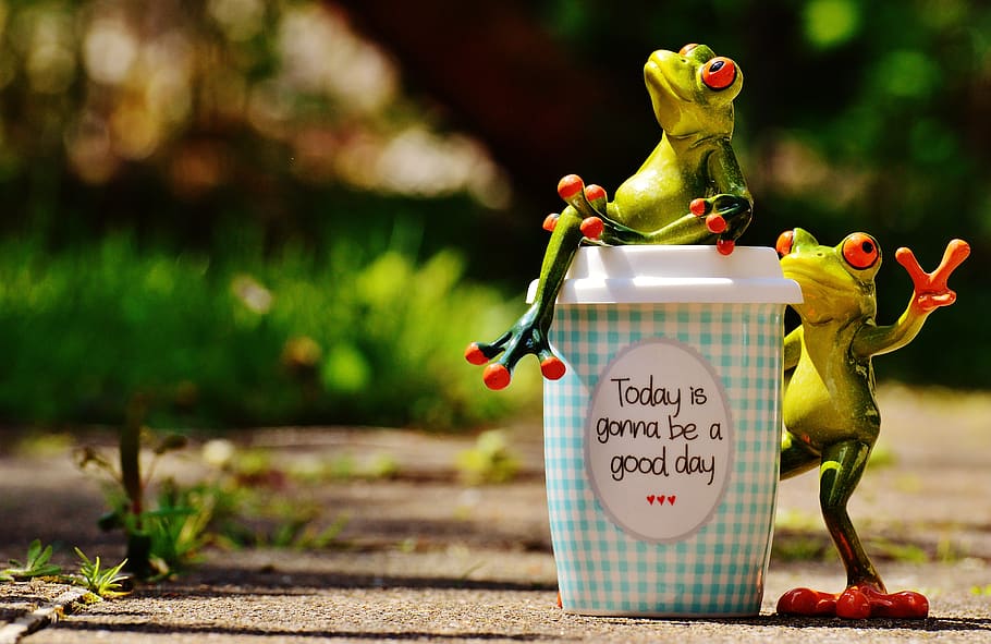 HD wallpaper: frog figurine and white tumbler, beautiful day, joy, coffee,  cup