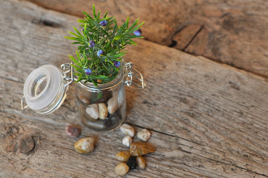 decoration, decorative, jar, stones, wood, glass, branch, dekozweig HD wallpaper