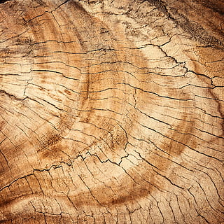 brown wooden slab, abstract, antique, backdrop, background HD wallpaper