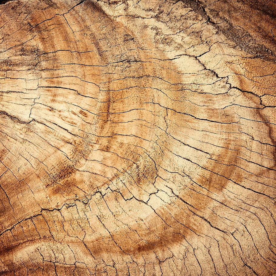 brown wooden slab, abstract, antique, backdrop, background, board, HD wallpaper