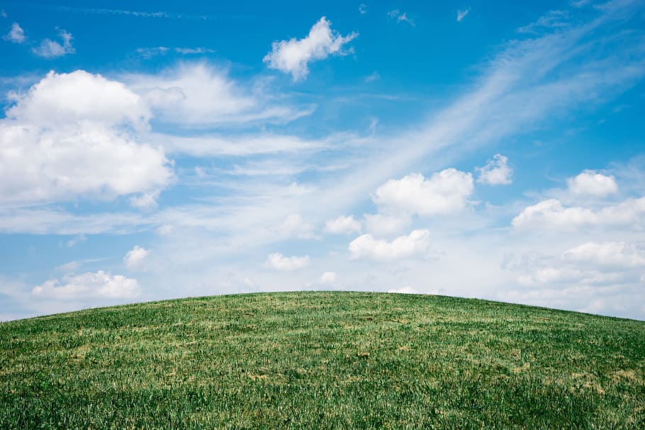 landscape of grass field under blue sky, green grass under blue sky HD wallpaper