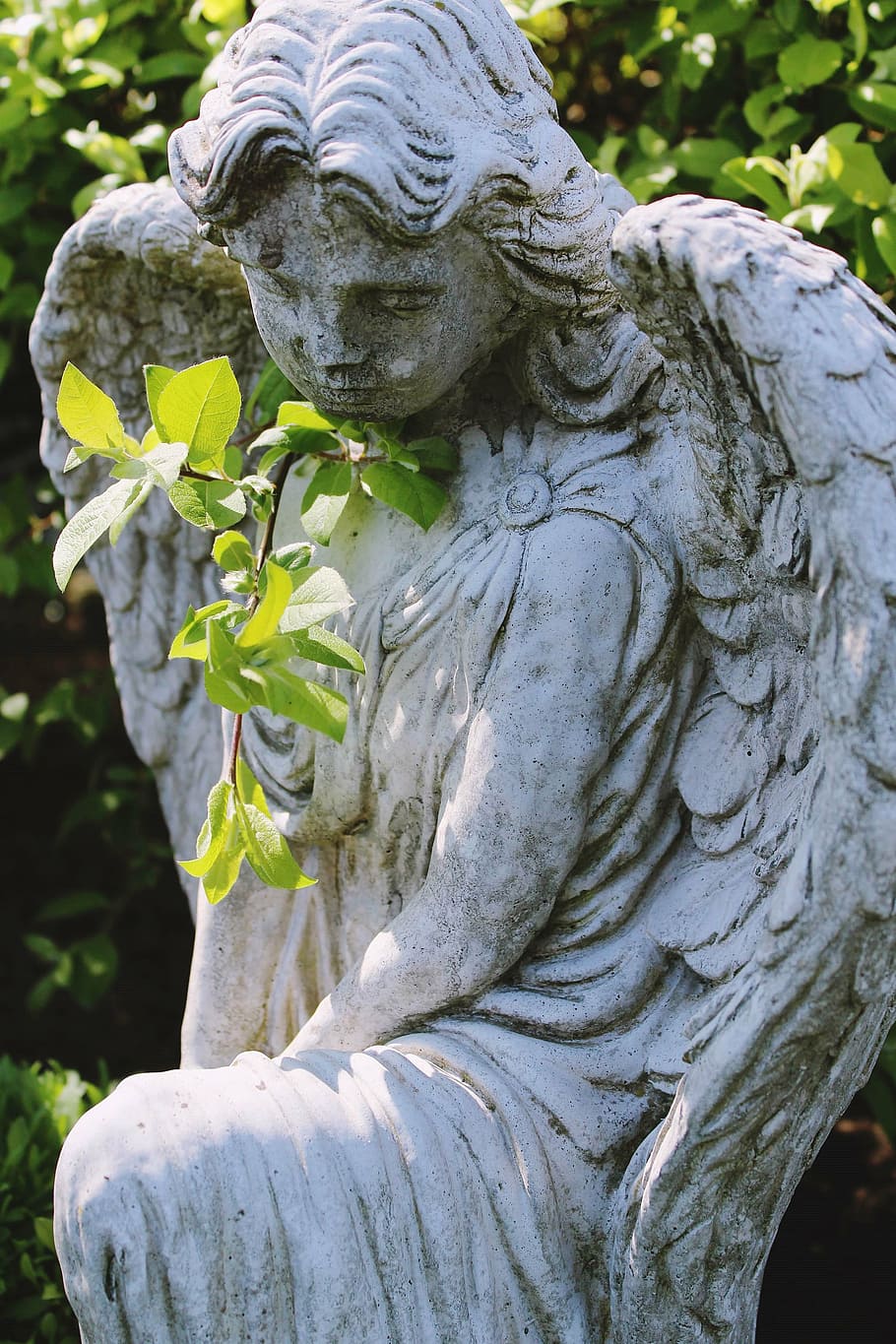cherub statuette near green leaf plant at daytime, angel, nature