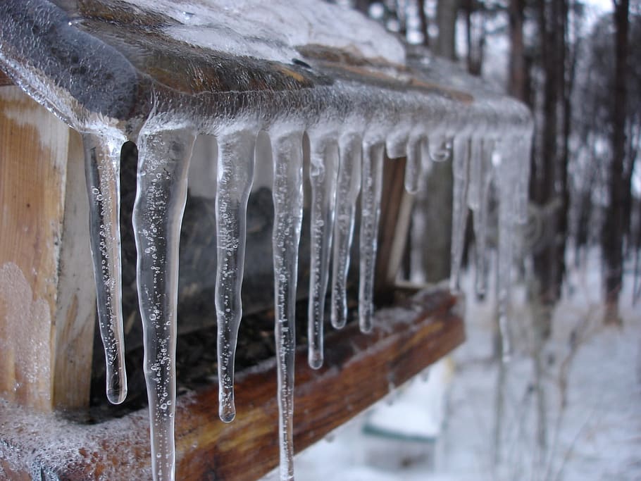 icicles on window, Frozen, Cold, Snow, Winter, Icy, bird feeder HD wallpaper