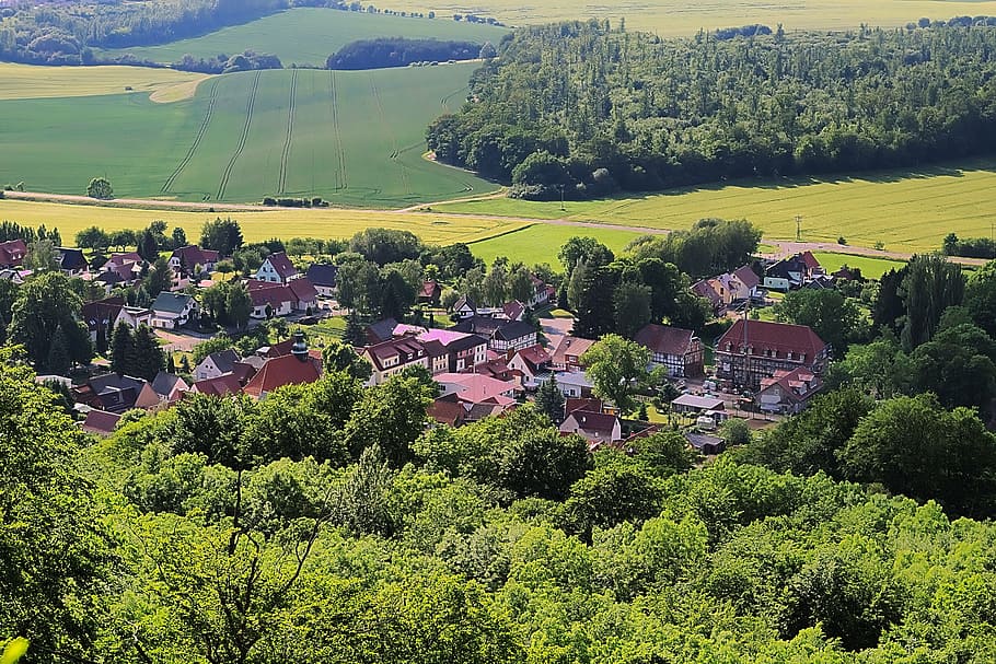 landscape, village, fields, forest, tree, plant, growth, green color HD wallpaper