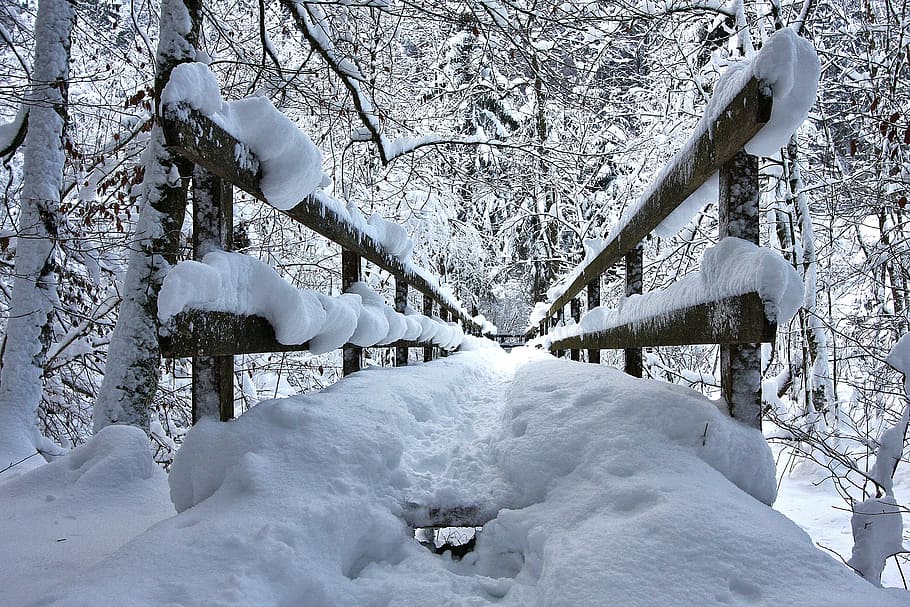 brown wooden dock bridge covered with snow, Winter, Forest HD wallpaper