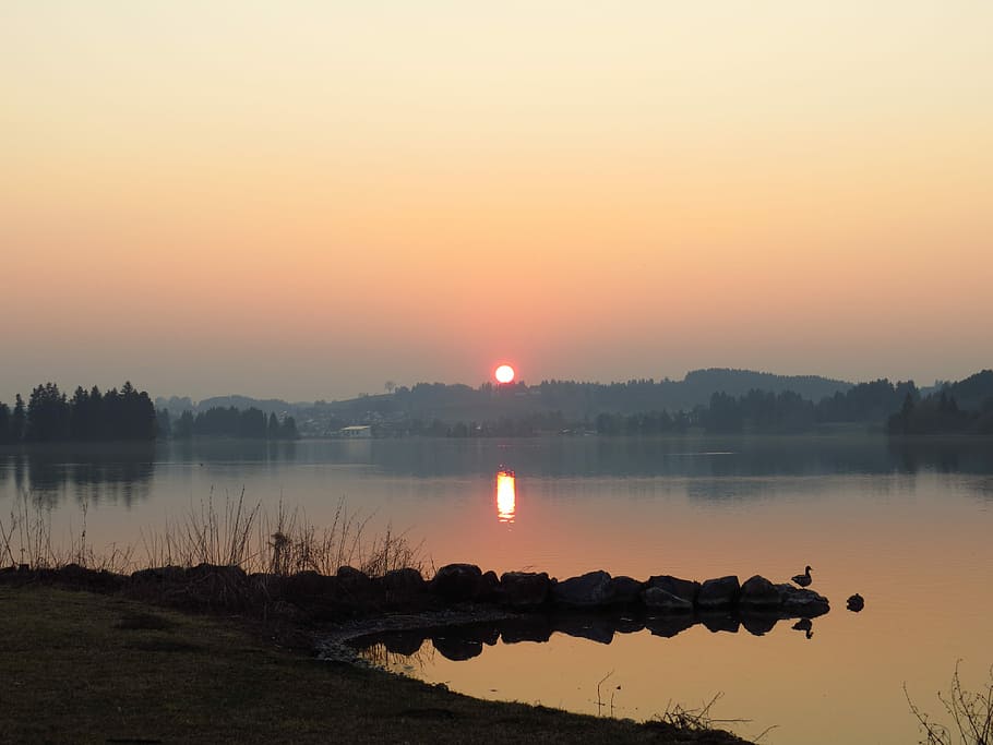 Sunset, Lake, Duck, abendstimmung, still, bank, romance, nature HD wallpaper