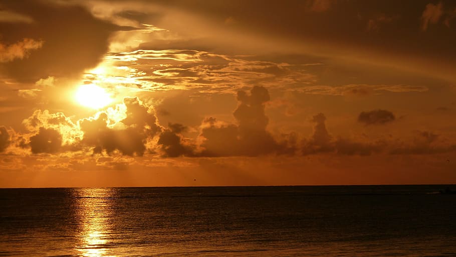 silhouette photography of body of water during golden hour HD wallpaper