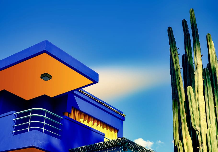 blue concrete building near cactus, low angle photography of cactus near concrete house