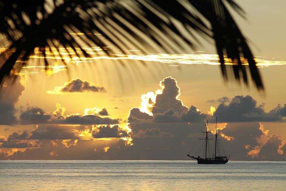 silhouette of coconut tree and sailing boat in the ocean during sunset HD wallpaper
