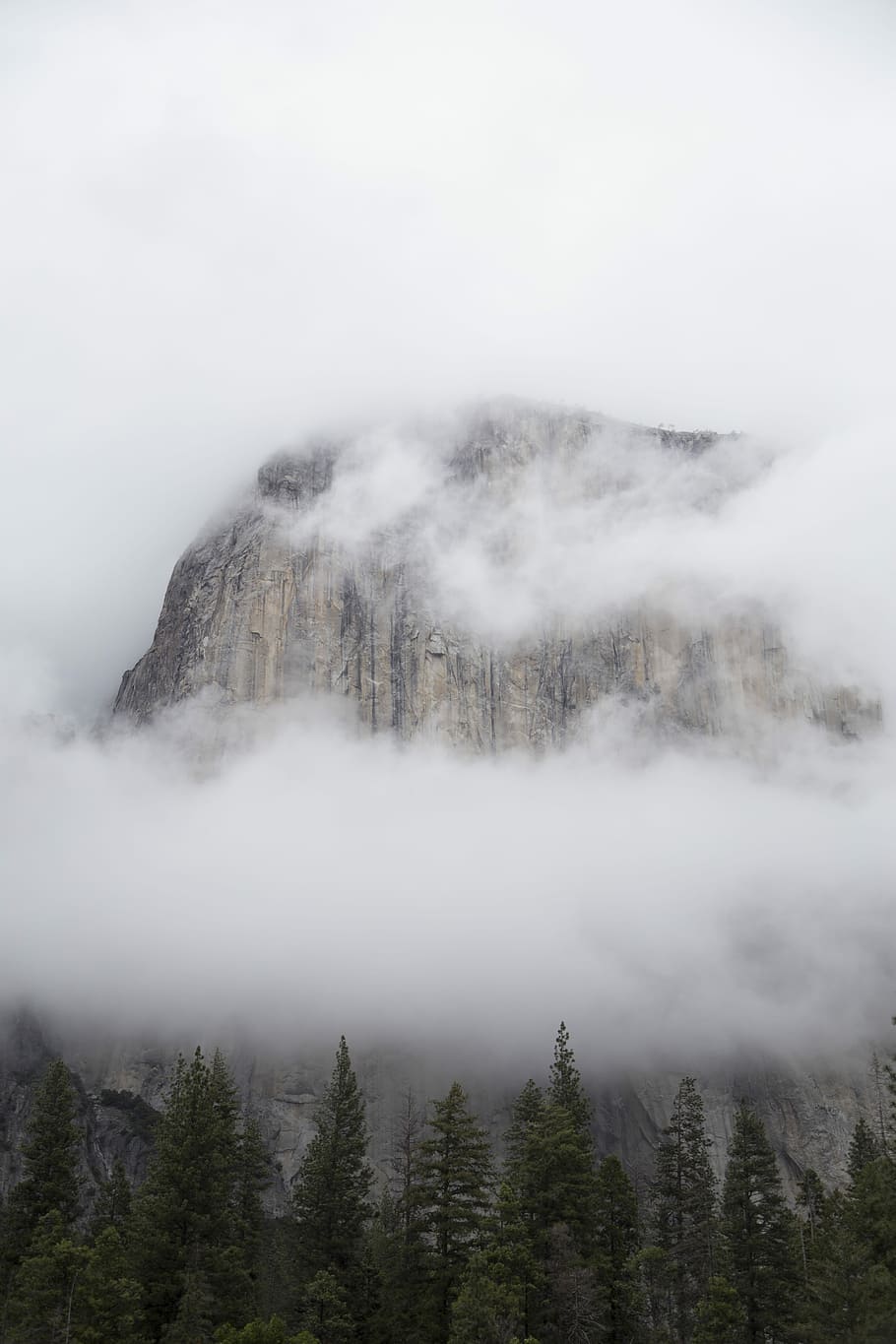 brown mountain surrounded by clouds, Yosemite Valley National Park at foggy morning HD wallpaper