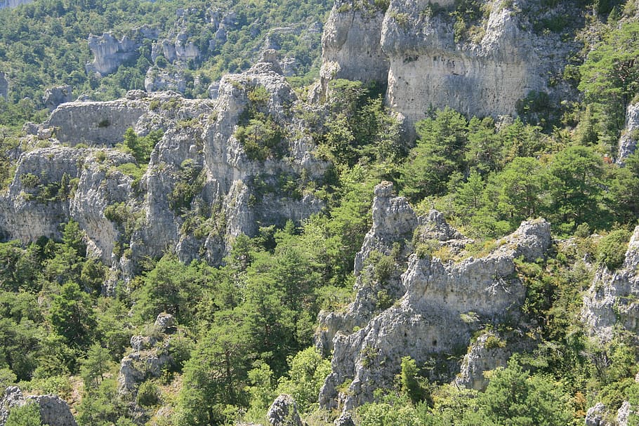 rock formations, nature, gap, infinity, tree, plant, growth HD wallpaper