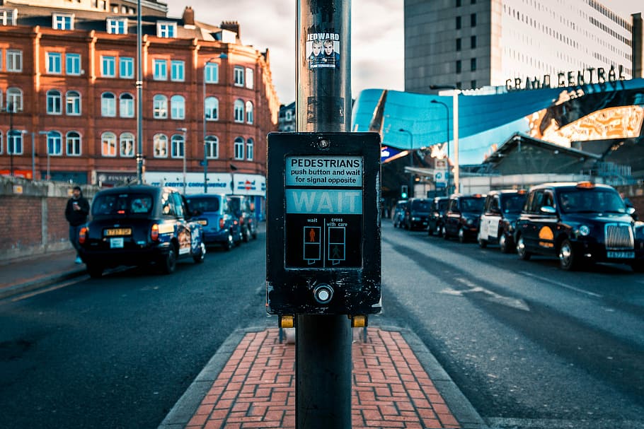 selective focus photography of pedestrians control knob between road during daytime, pedestrian crossing signage HD wallpaper