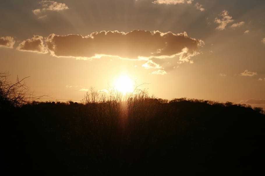 sol, sunset, sertao, brazil, nature, sunlight, dusk, sky, outdoors HD wallpaper