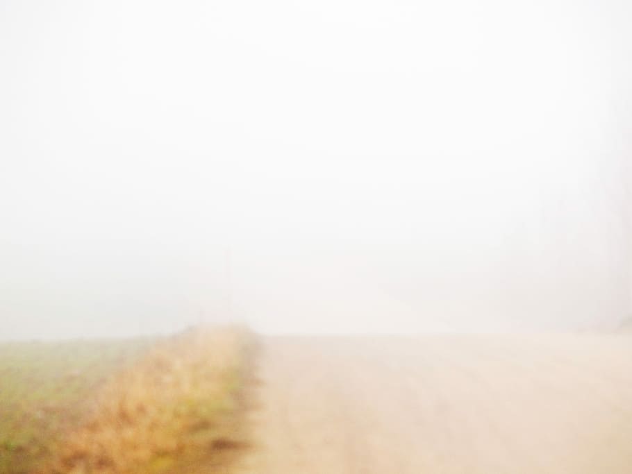 Mist, Road, Morning, fog, copy space, day, nature, no people HD wallpaper
