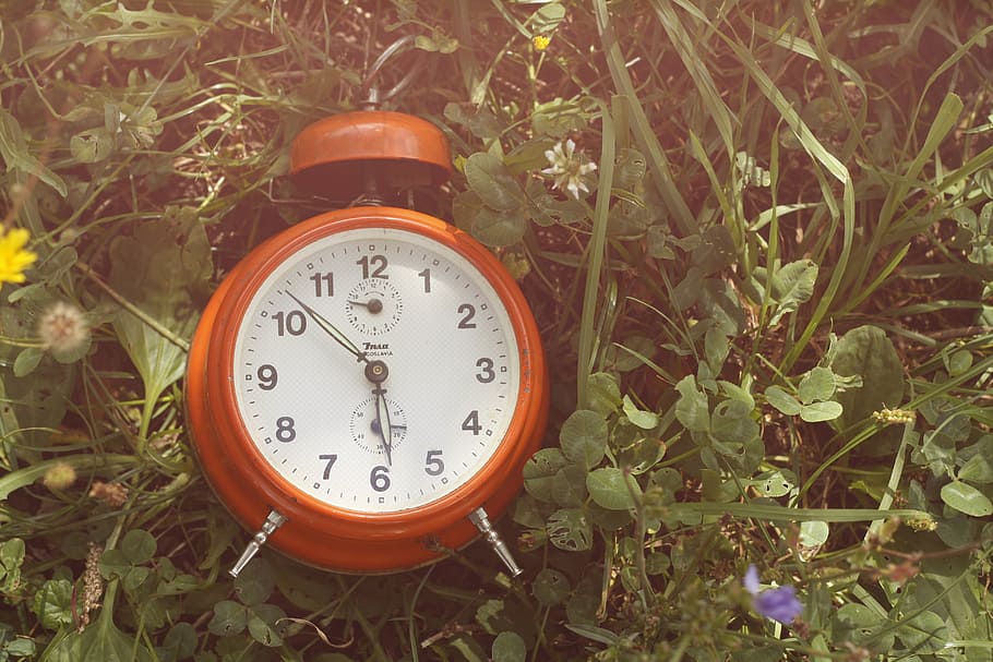 orange single-bell alarm clock on grass, time, green, nature HD wallpaper