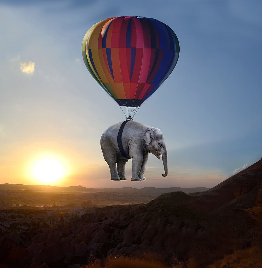 hot air balloon elephant illustration, sunset, steppe, weightless HD wallpaper