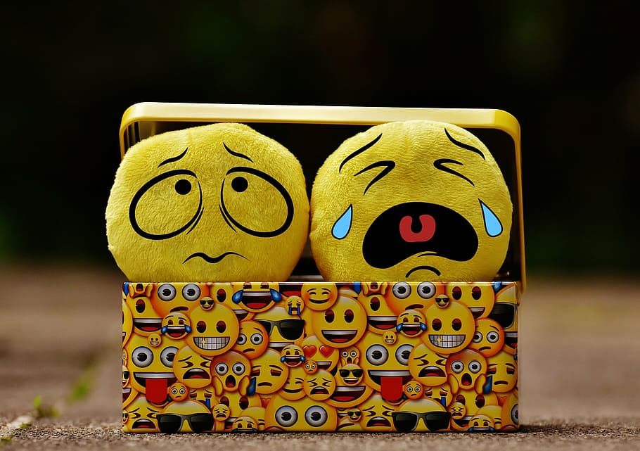 Crying emoji shop plush