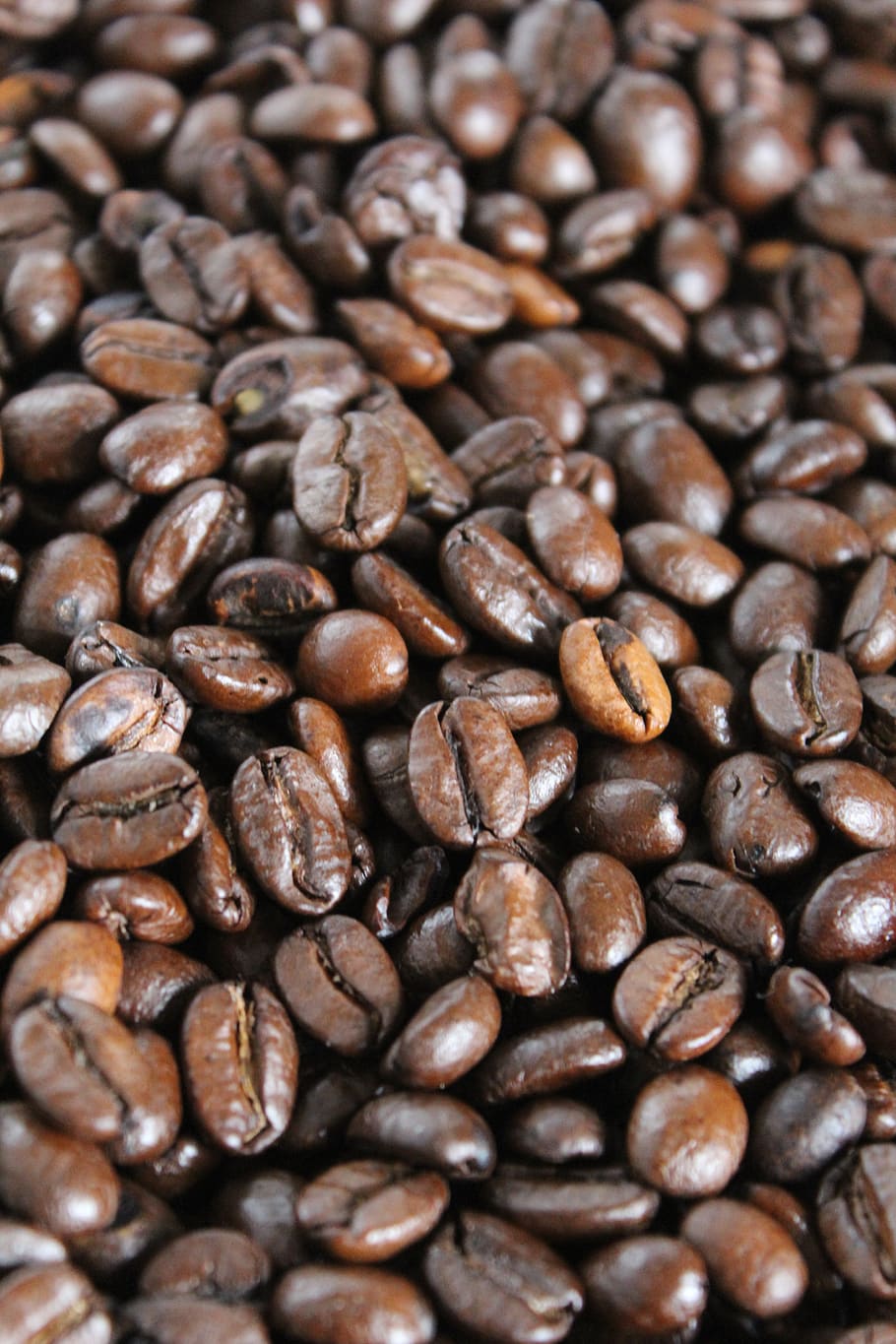 coffee, grain, coffee beans, coffee - drink, food and drink HD wallpaper