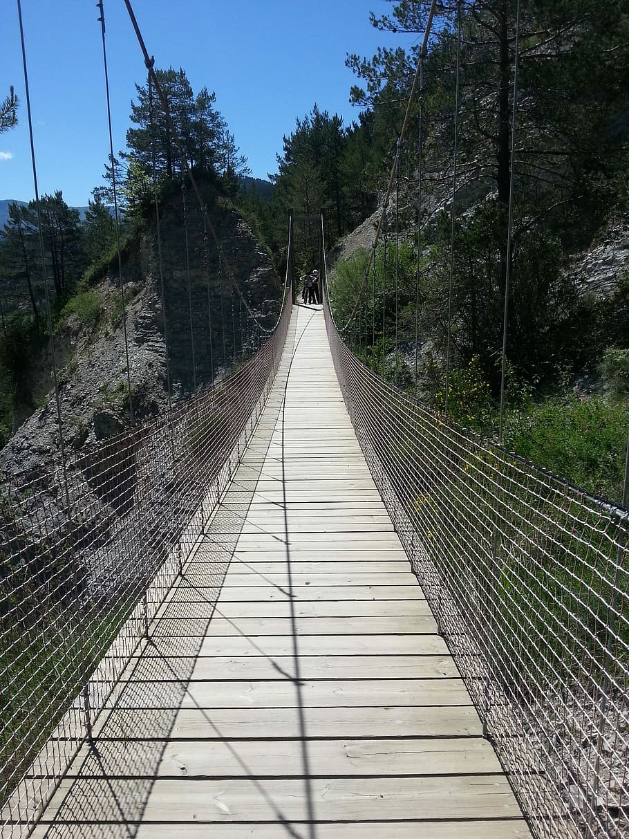 Suspension Bridge, Path, tree, day, outdoors, no people, sky HD wallpaper