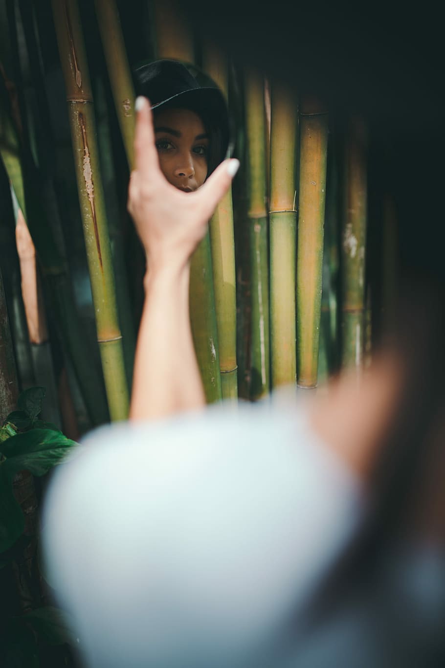 woman surrounded with bamboo sticks, woman's face reflected on mirror HD wallpaper