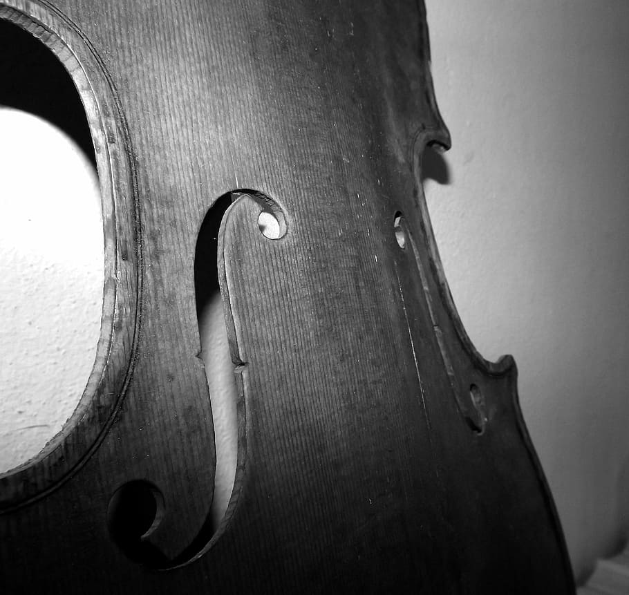 violin, wood, effe, luthier, music, string instrument, wood - material HD wallpaper