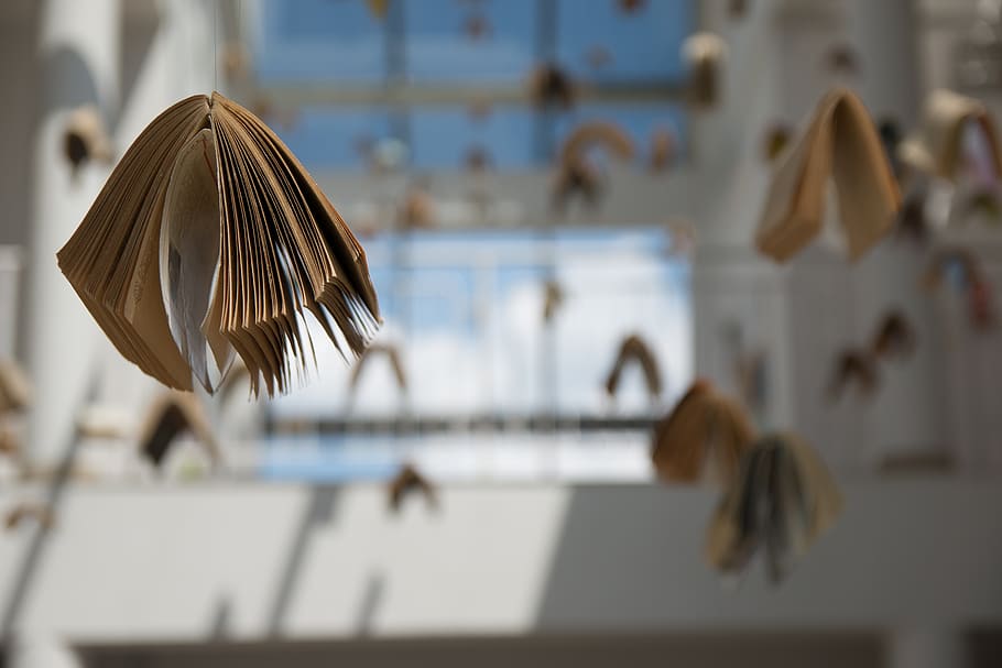 selective focus photography of hanging books, exposition, composition HD wallpaper