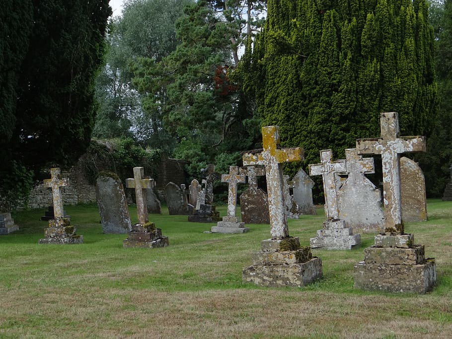gray cross tombstone, cemetery, grave, antique, religion, tree HD wallpaper