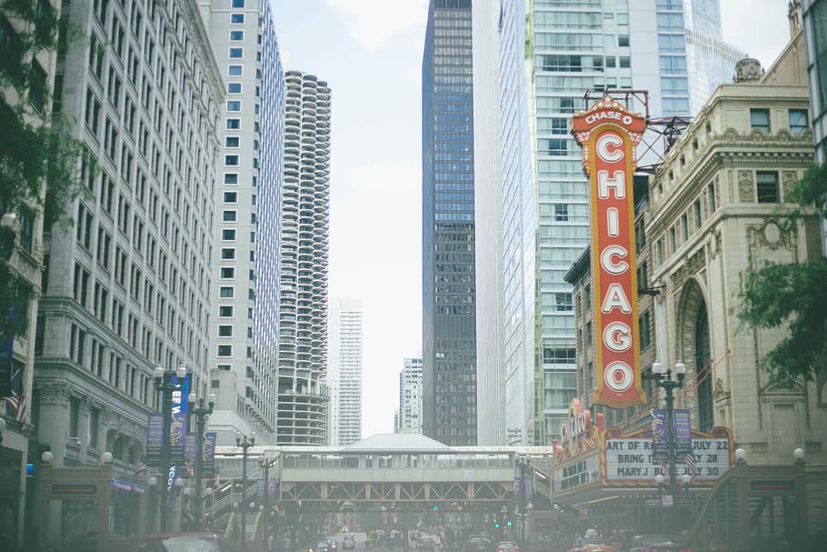 high-rise buildings during daytime, Chicago signage during daytime HD wallpaper