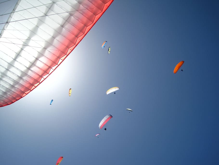 group of people parasailing, Paragliding, Freedom, Sun, sky HD wallpaper