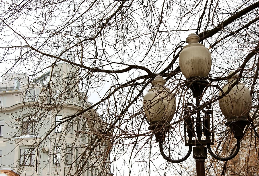 Overcast, Lantern, Vintage, Branch, City, old town, window HD wallpaper