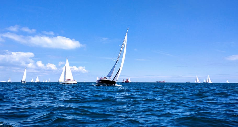 sailing, race, boat, nautical, competition, water, vessel, sailboat, HD wallpaper