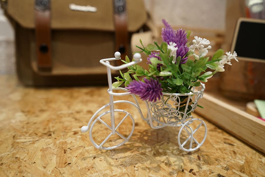 bike tiny, restaurant, comfortable, wood - Material, flower HD wallpaper
