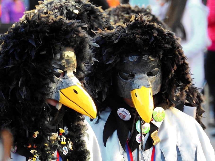 Hat, Headwear, Carnival, Move, Costume, dress up, crow, raven HD wallpaper