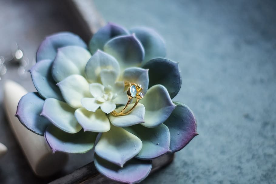 gold-colored ring on top of succulent plant, Natural Stone, Silver