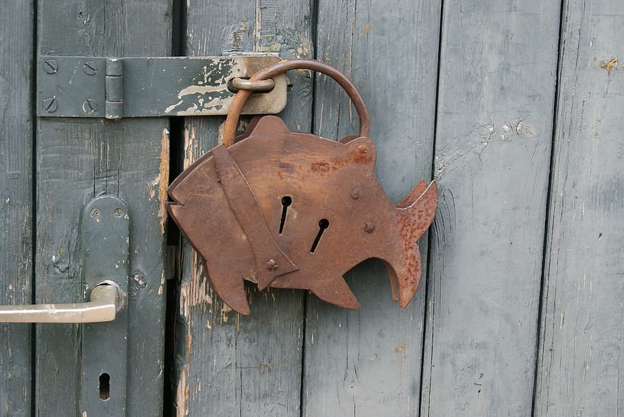castle, stainless, padlock, closed, wooden door, wood - material HD wallpaper