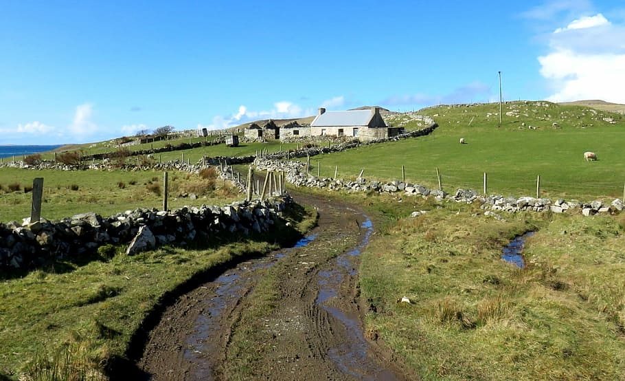 Landscape, Fields, Path, sky, stonewalls, nature, rural, coastal HD wallpaper