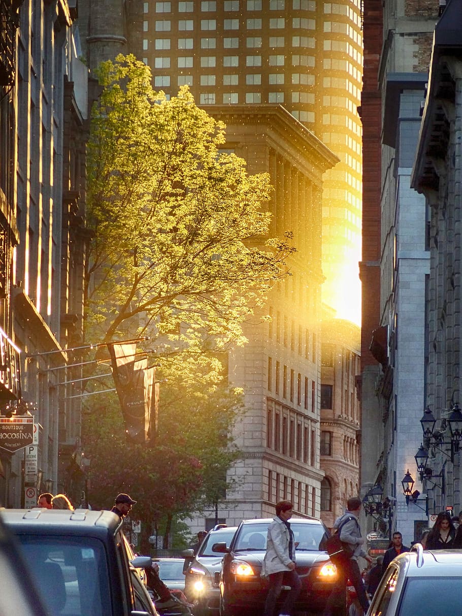 Sunset, Dusk, Sunlight, Colorful, city, car, city street, city life HD wallpaper
