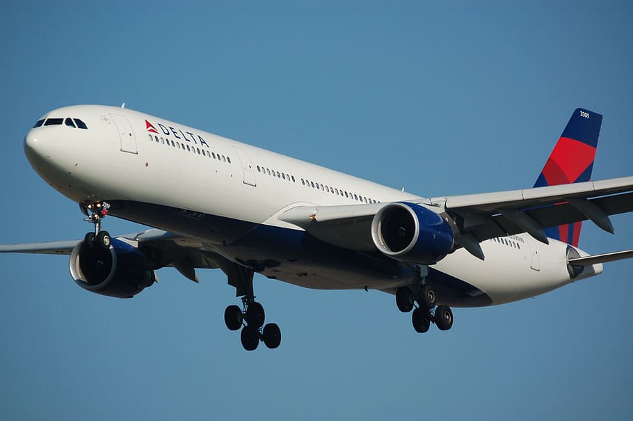 Delta Airlines Photos Download The BEST Free Delta Airlines Stock Photos   HD Images