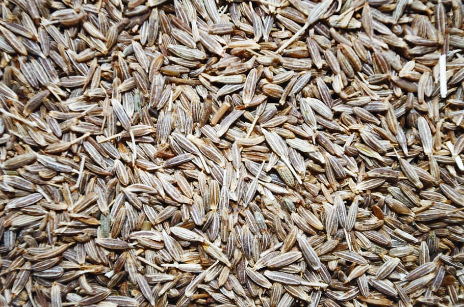 seed lot, whole cumin, pepper, aromatic, full frame, large group of objects, HD wallpaper