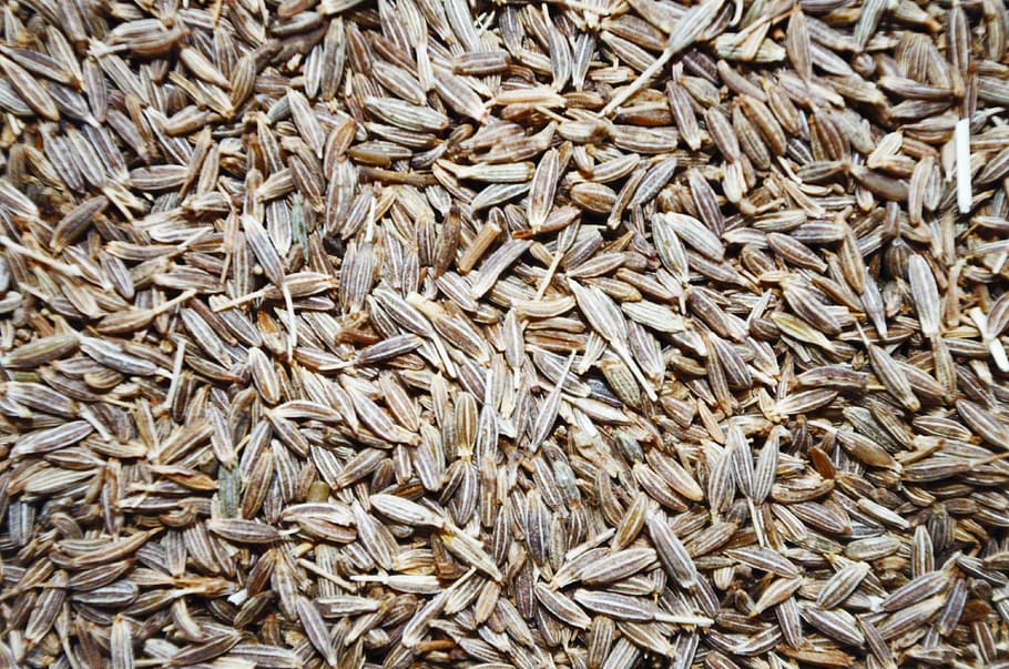 seed lot, whole cumin, pepper, aromatic, full frame, large group of objects HD wallpaper