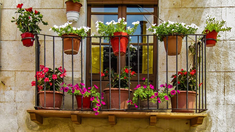 red, white, and pink petaled flowers on window, balcony, facade HD wallpaper