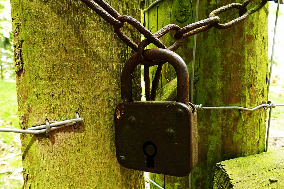 castle, padlock, rusty, stainless, old, fence, pasture, gate HD wallpaper