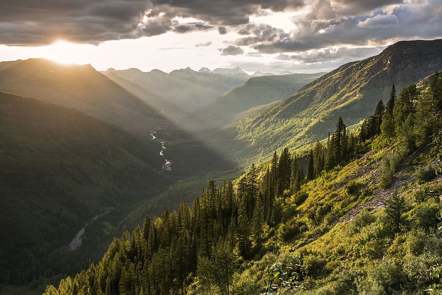 aerial photography of green forest trees, mountain range, valley HD wallpaper