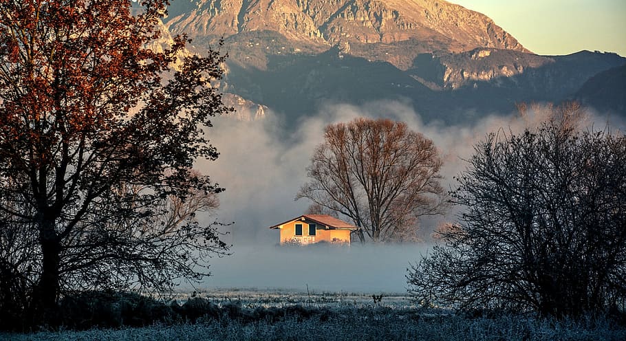 cold, dawn, fog, forest, house, mountain, mountains, nature HD wallpaper